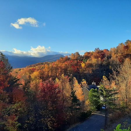 3 Decks, Mtn Views! Tree Tops By Honeybearcabins - Luxury Rain Showers, 3 King Suites, Xl Hottub, Fireplace, Bear Sightings Gatlinburg Luaran gambar